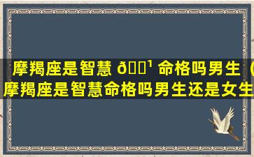 摩羯座是智慧 🌹 命格吗男生（摩羯座是智慧命格吗男生还是女生）